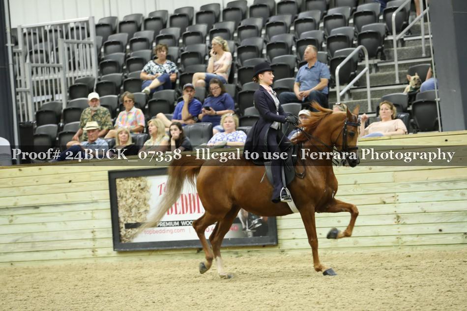 Proof 24BUCK_07358