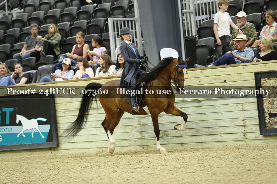 Proof 24BUCK_07360