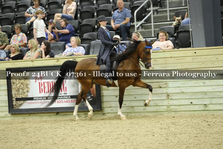 Proof 24BUCK_07361