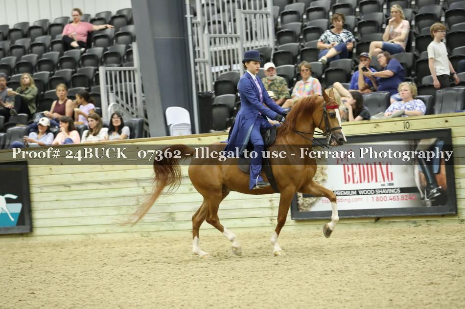 Proof 24BUCK_07362