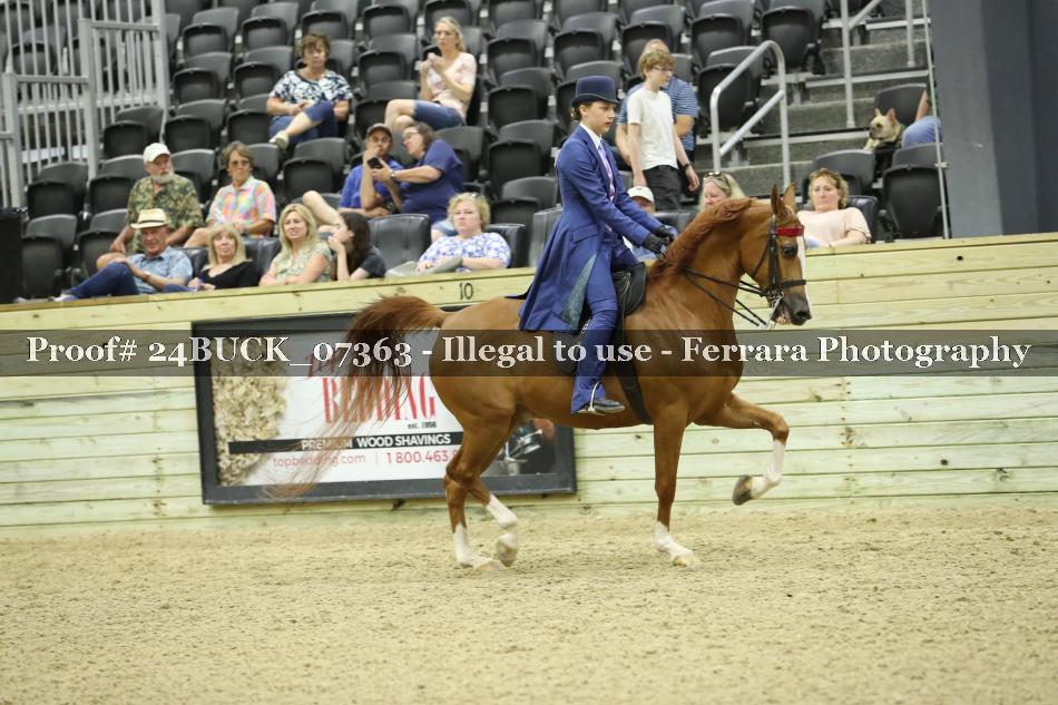 Proof 24BUCK_07363