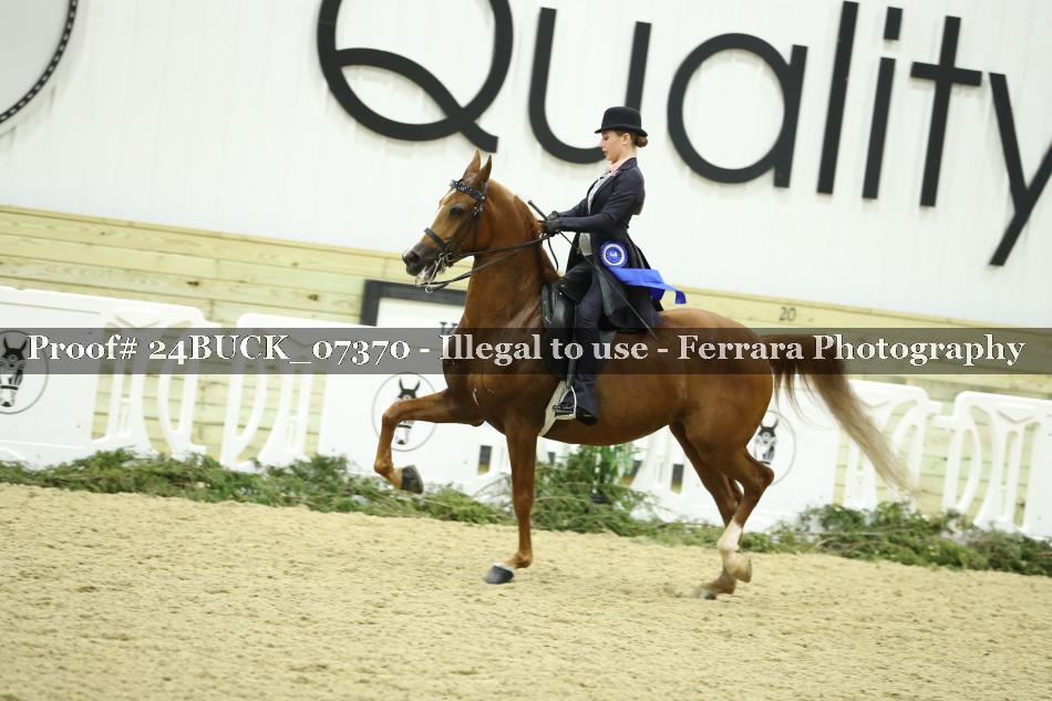 Proof 24BUCK_07370