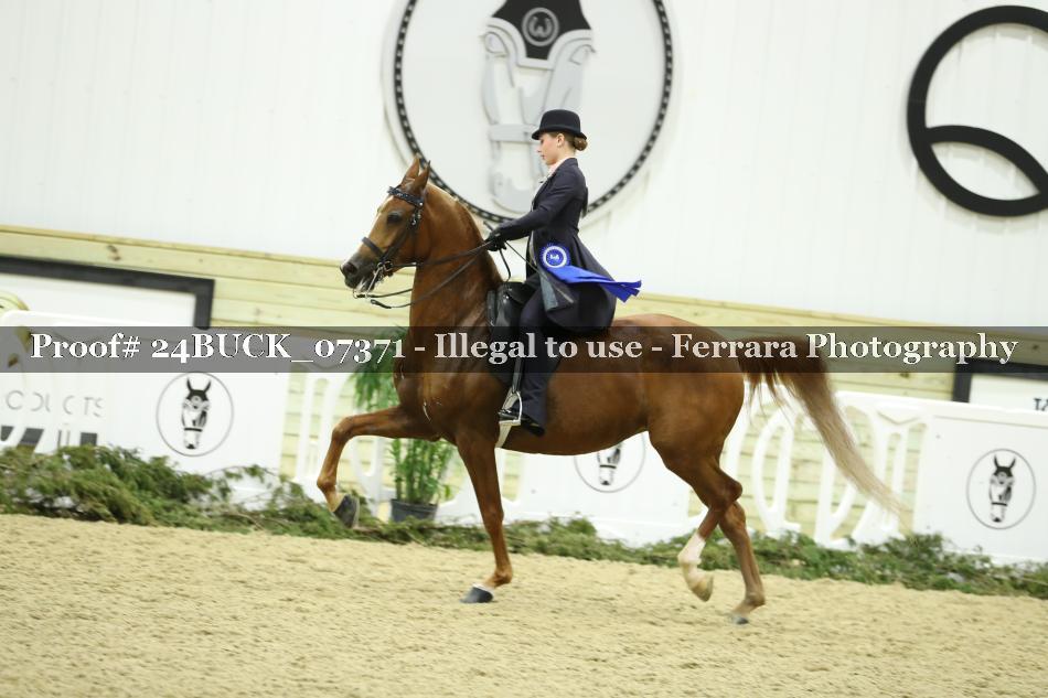 Proof 24BUCK_07371