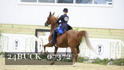 24BUCK_07372 proof