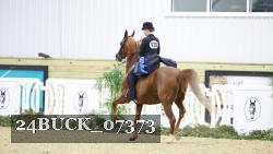 24BUCK_07373 proof