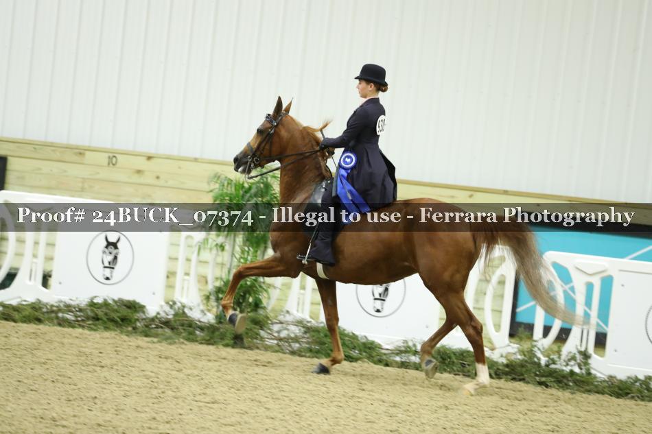 Proof 24BUCK_07374