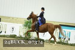 24BUCK_07374 proof