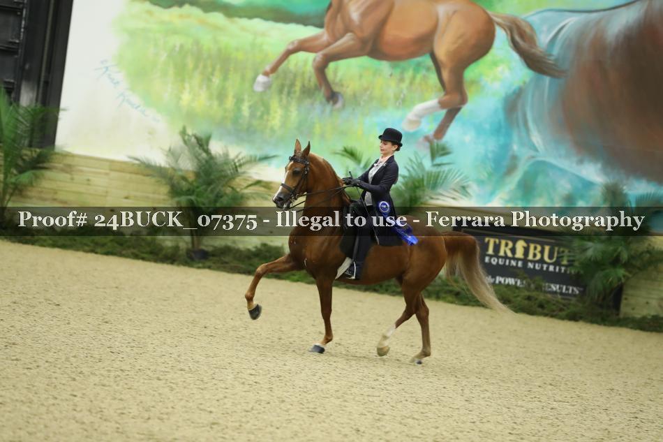 Proof 24BUCK_07375