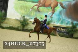 24BUCK_07375 proof