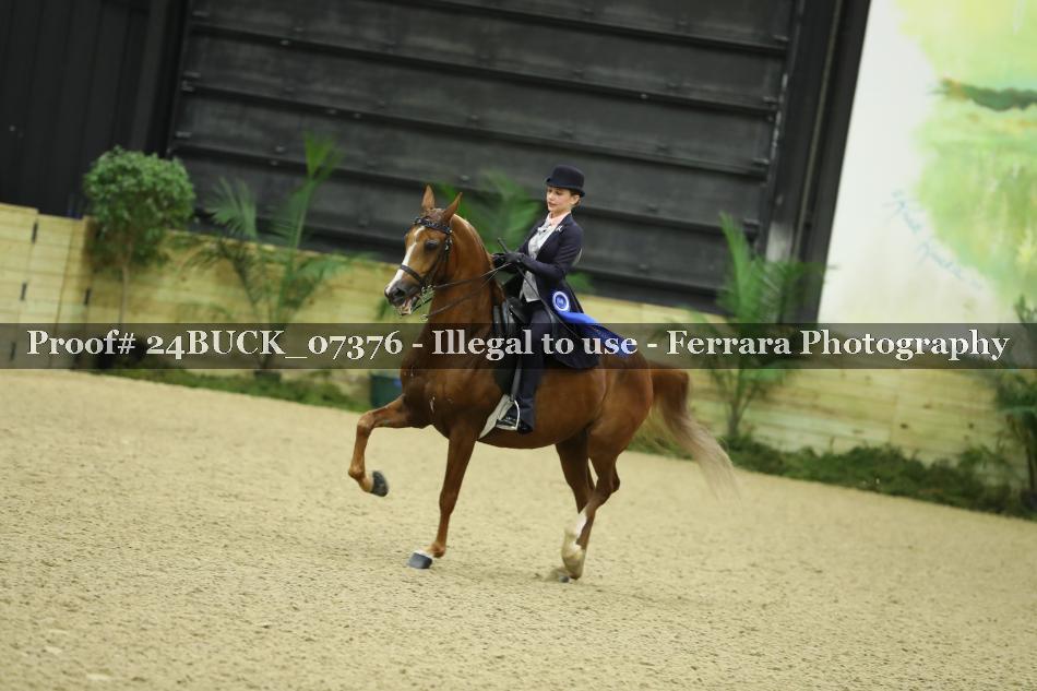 Proof 24BUCK_07376