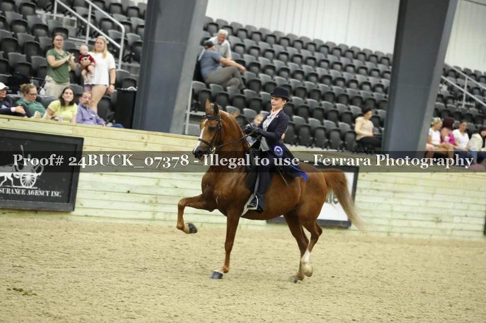 Proof 24BUCK_07378