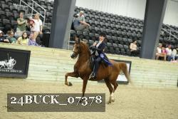24BUCK_07378 proof