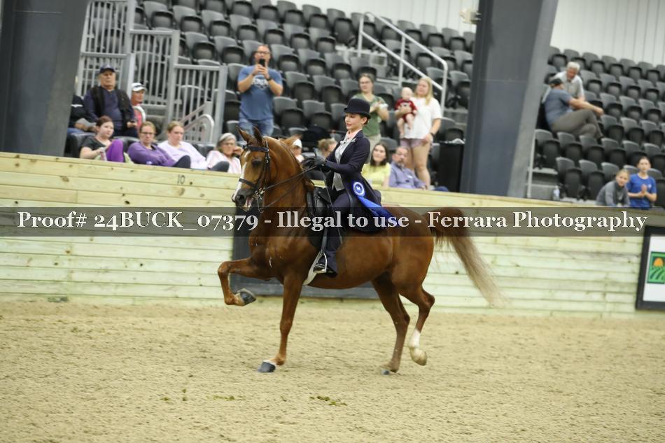 Proof 24BUCK_07379