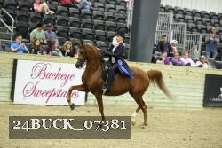 24BUCK_07381 proof