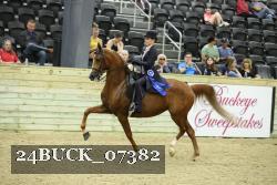 24BUCK_07382 proof