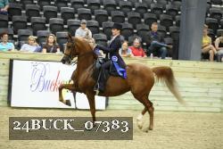 24BUCK_07383 proof