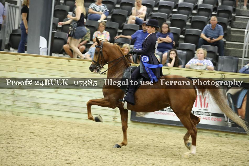 Proof 24BUCK_07385
