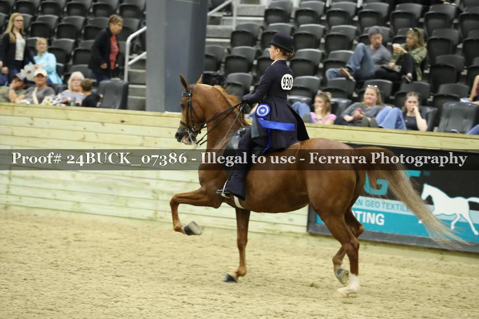 Proof 24BUCK_07386
