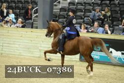 24BUCK_07386 proof