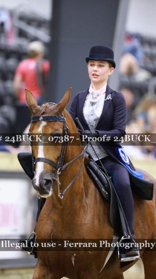 Proof 24BUCK_07387