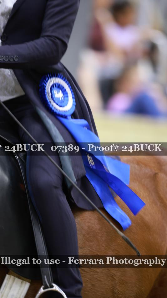 Proof 24BUCK_07389