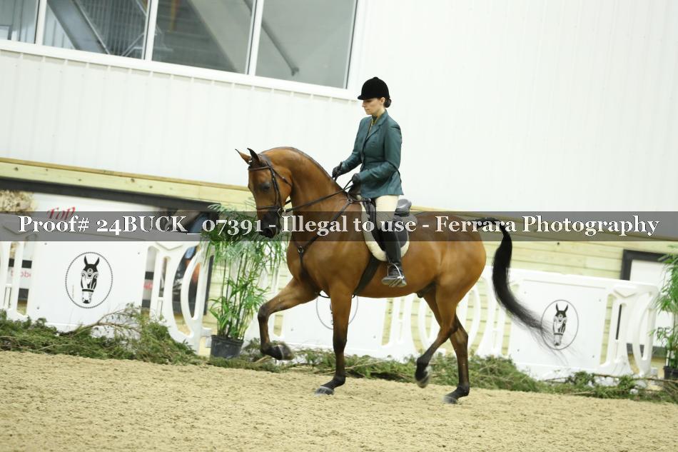 Proof 24BUCK_07391