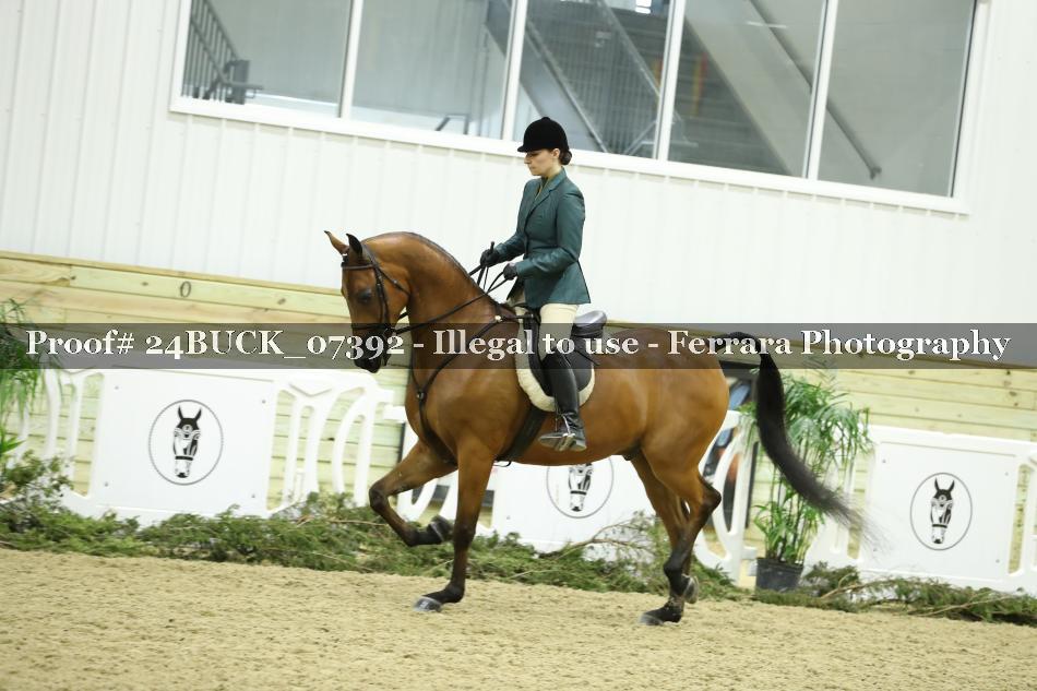Proof 24BUCK_07392