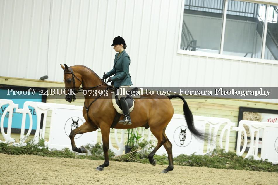 Proof 24BUCK_07393