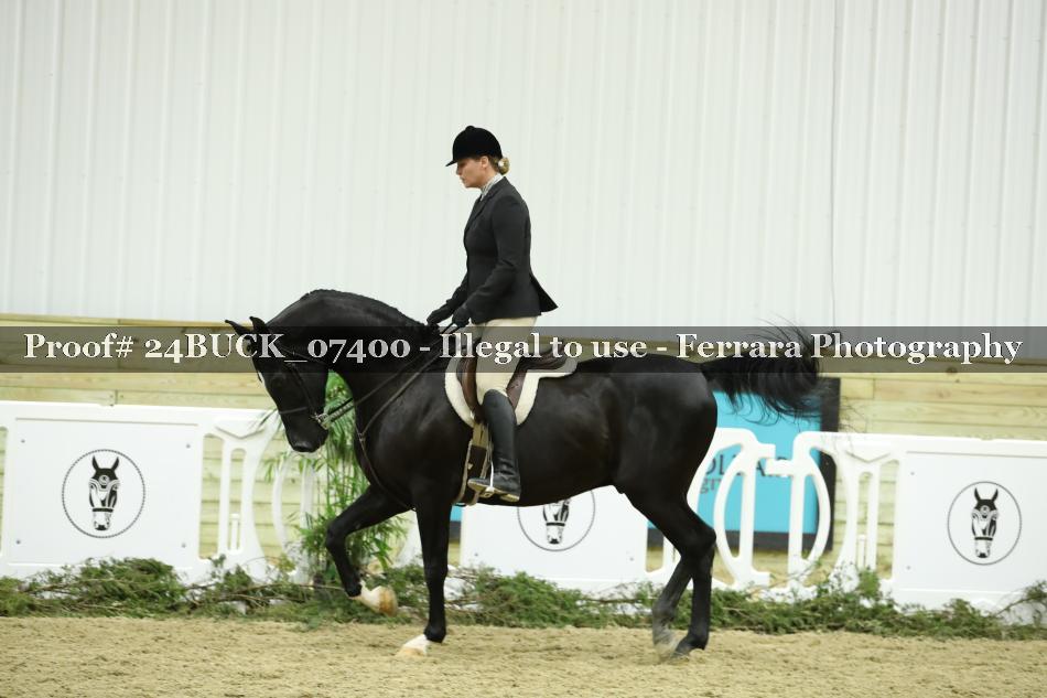 Proof 24BUCK_07400