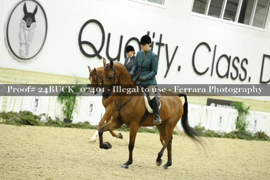 Proof 24BUCK_07401