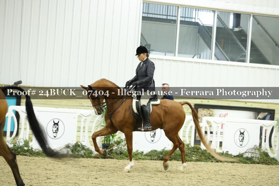 Proof 24BUCK_07404