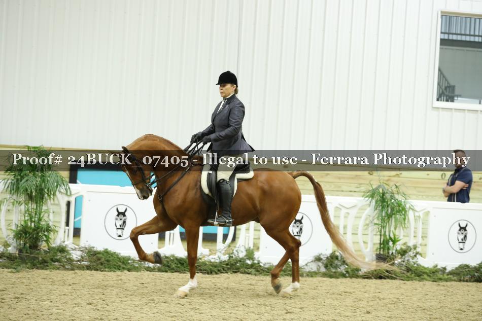 Proof 24BUCK_07405