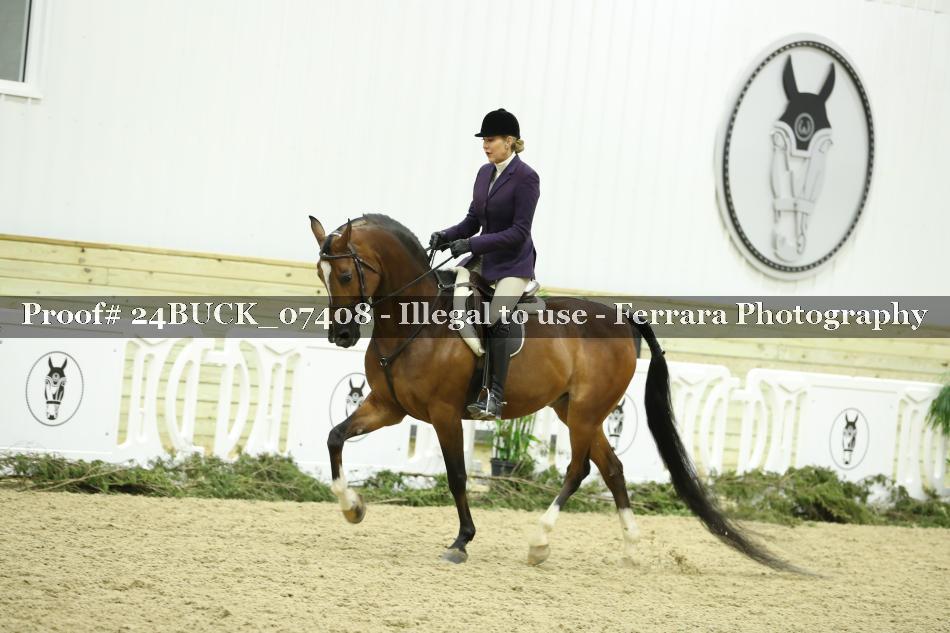 Proof 24BUCK_07408