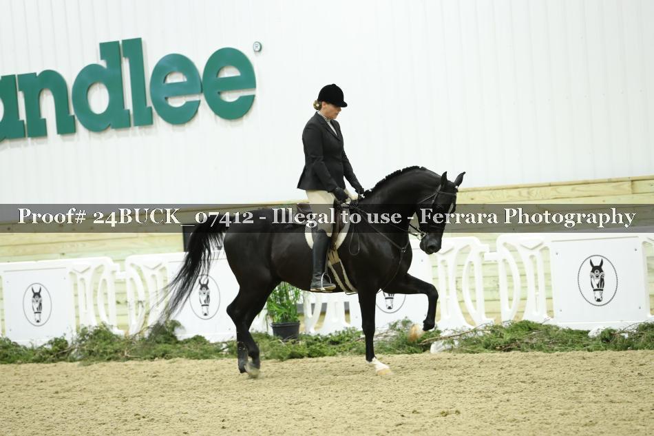 Proof 24BUCK_07412
