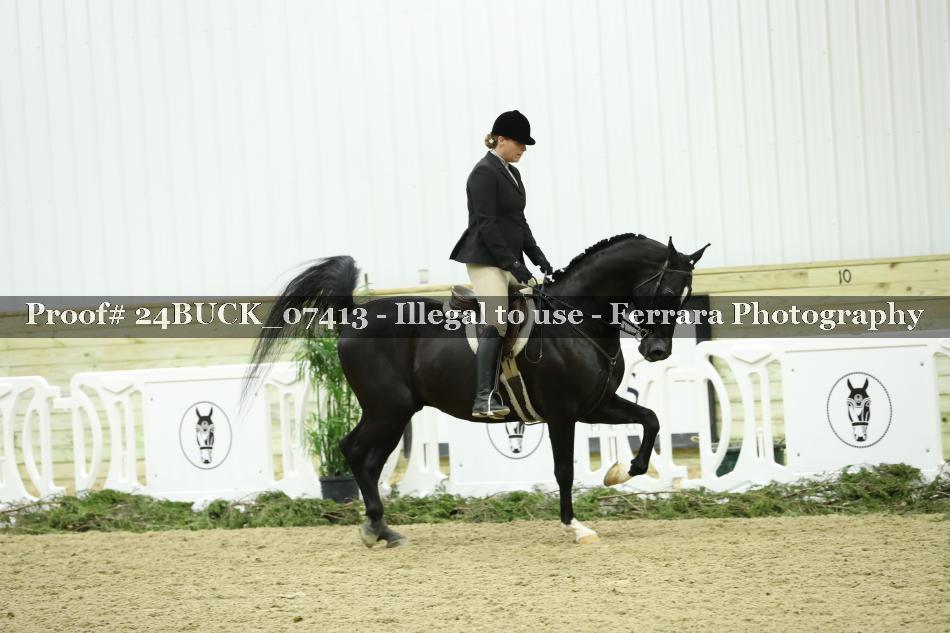 Proof 24BUCK_07413