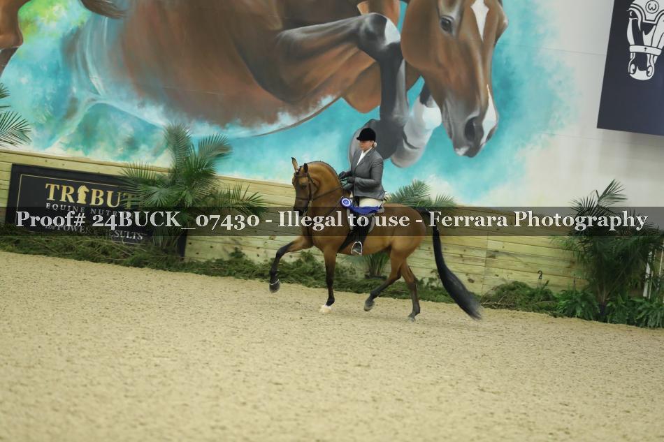 Proof 24BUCK_07430