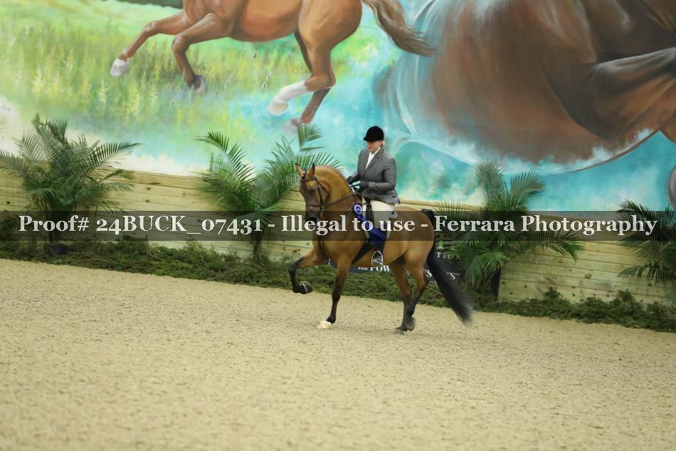 Proof 24BUCK_07431