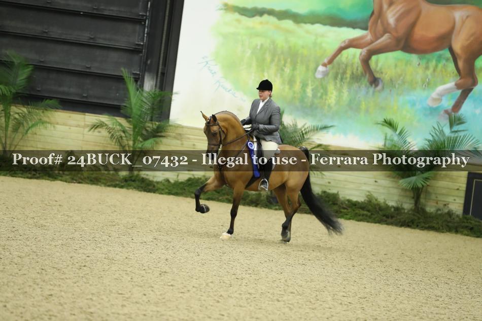 Proof 24BUCK_07432