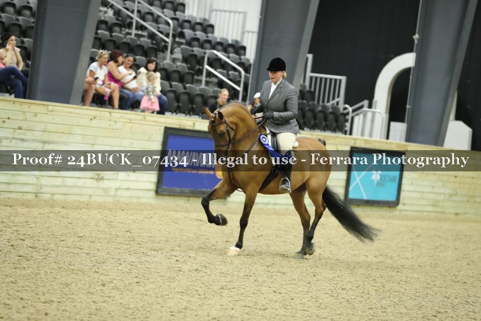 Proof 24BUCK_07434