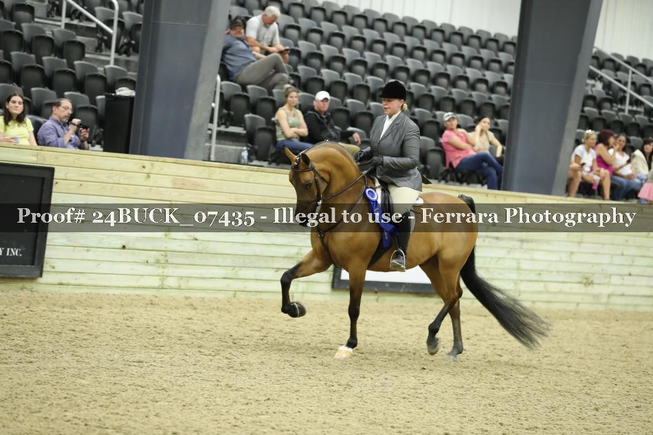 Proof 24BUCK_07435
