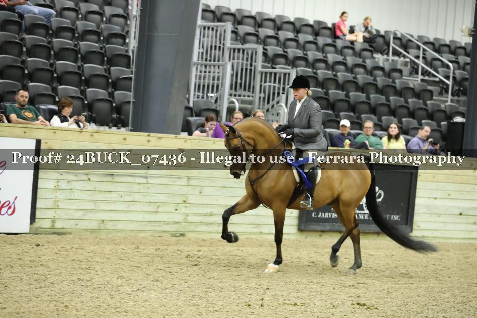 Proof 24BUCK_07436