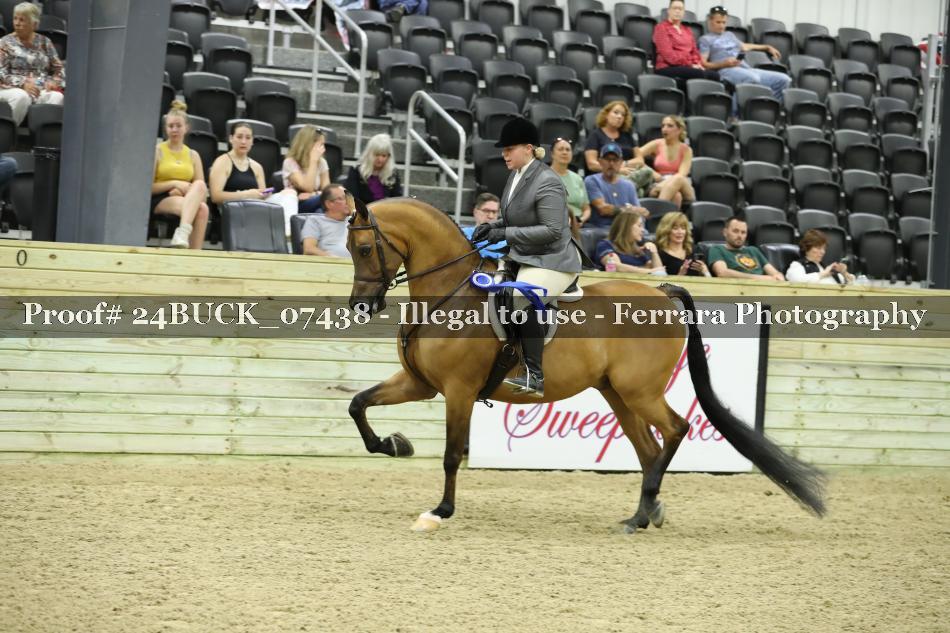 Proof 24BUCK_07438