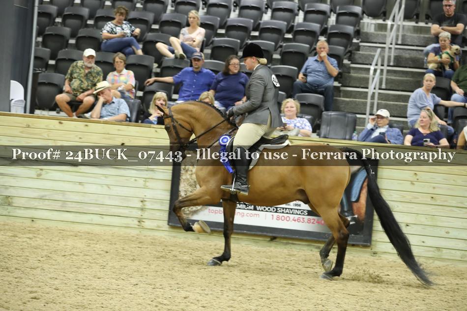 Proof 24BUCK_07443