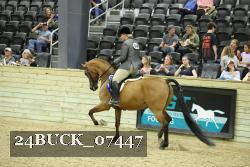 24BUCK_07447 proof