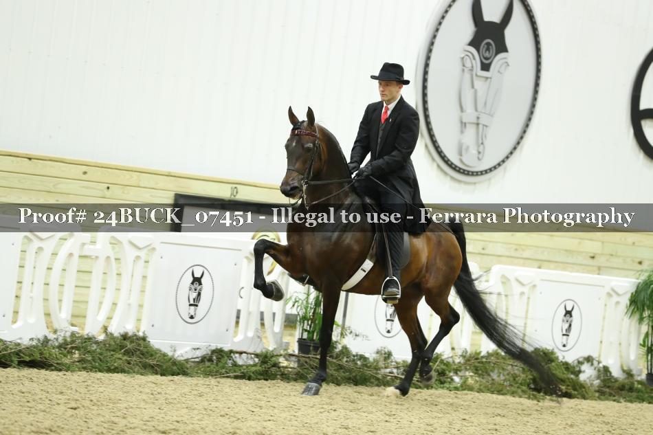 Proof 24BUCK_07451