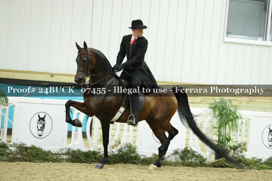 Proof 24BUCK_07455