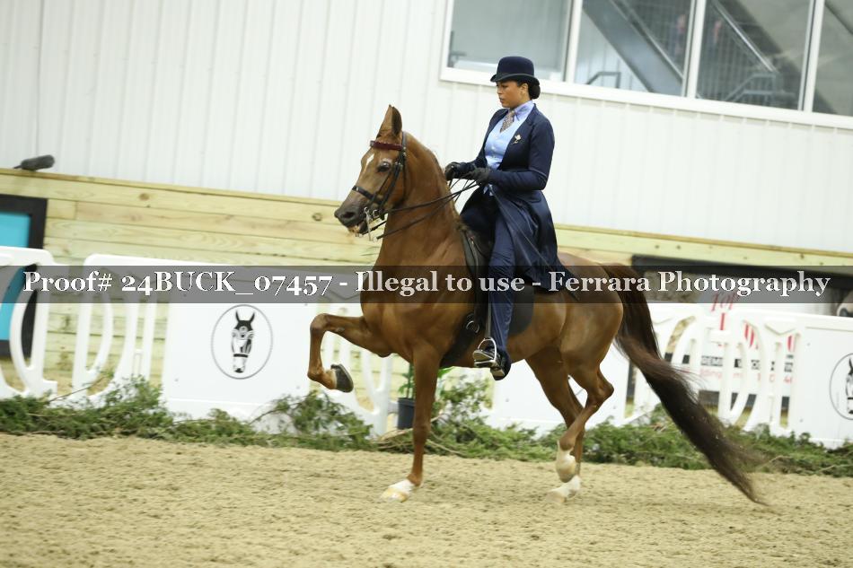 Proof 24BUCK_07457