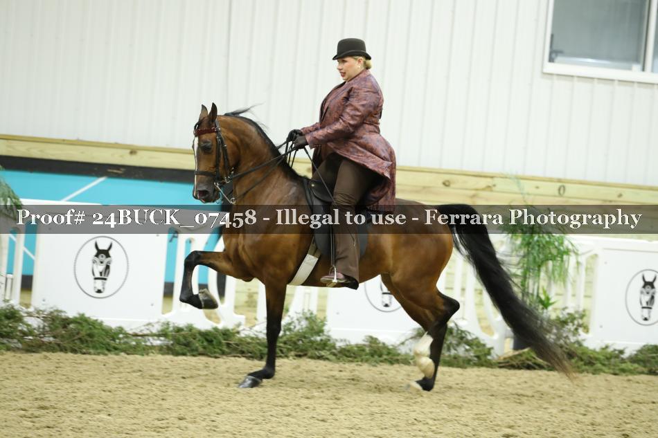 Proof 24BUCK_07458