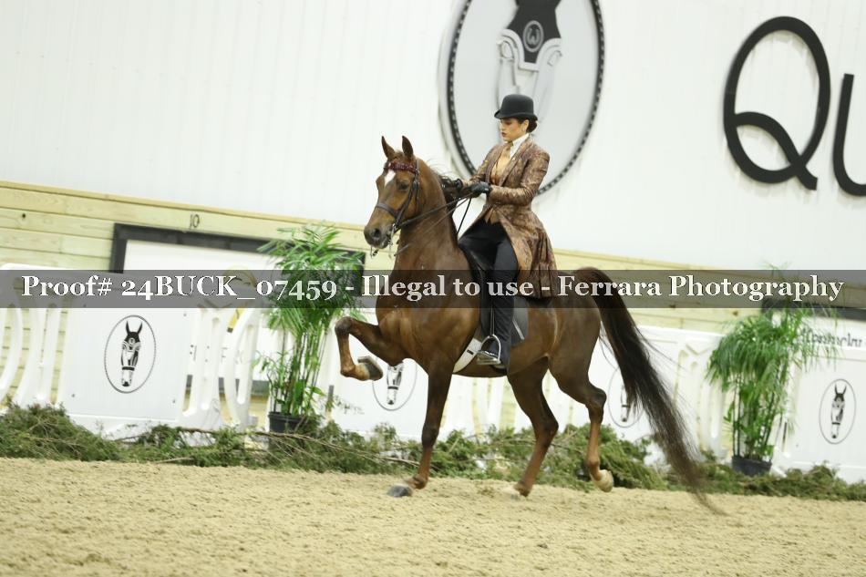 Proof 24BUCK_07459