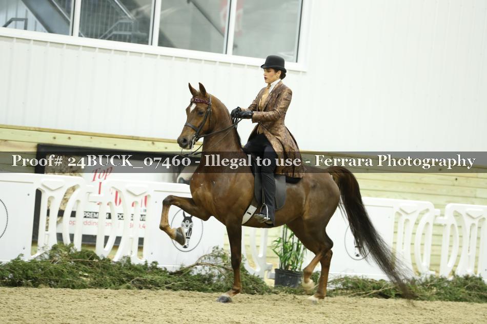 Proof 24BUCK_07460